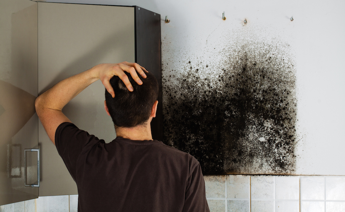 Man shocked to mold a kitchen cabinet.